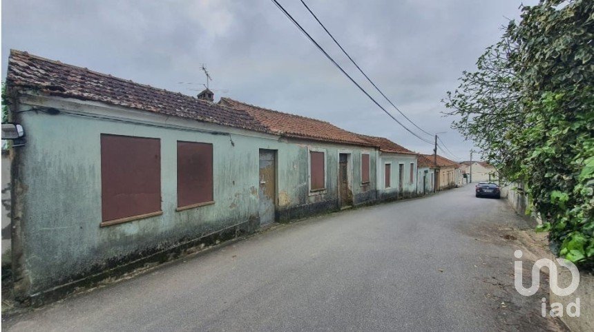 Farm T5 in Salreu of 217 m²