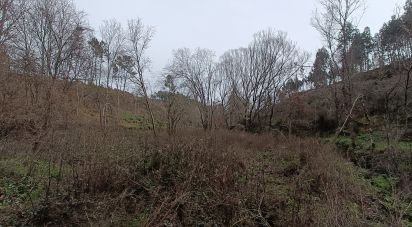Land in Graça of 18,940 m²