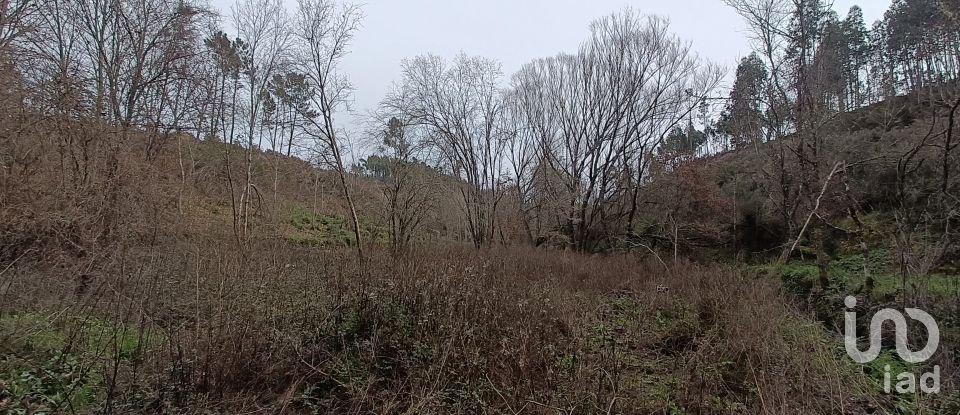 Terrain à Graça de 18 940 m²