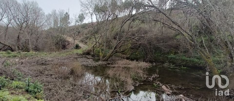Terrain à Graça de 18 940 m²