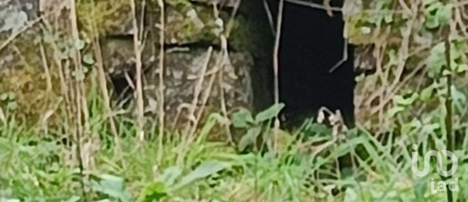 Terrain à Graça de 18 940 m²