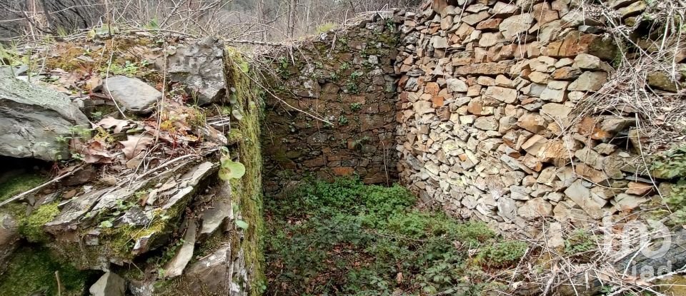 Terrain à Graça de 18 940 m²