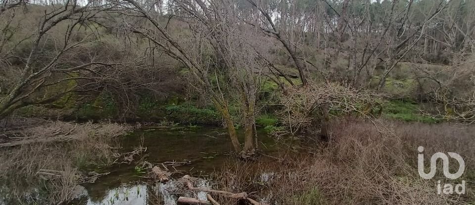 Terrain à Graça de 18 940 m²