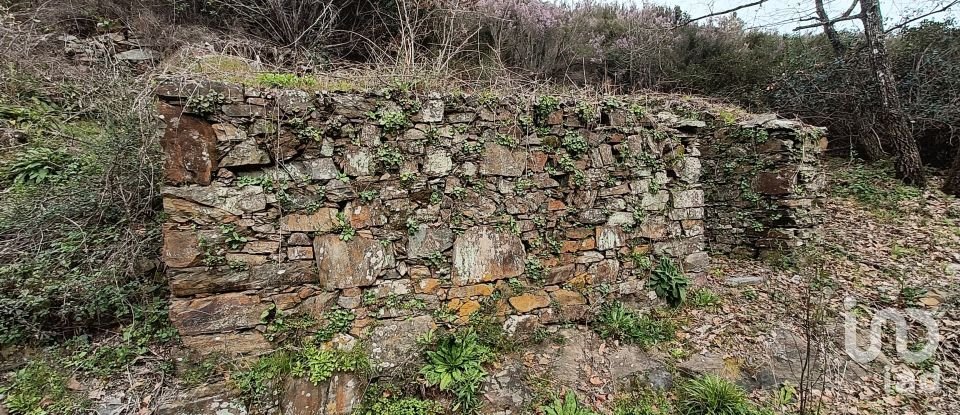 Terrain à Graça de 18 940 m²