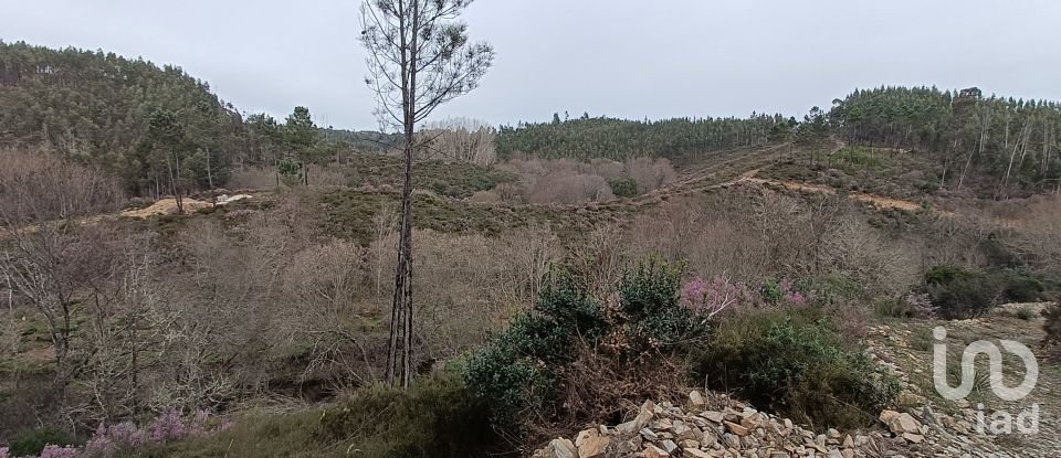 Terrain à Graça de 18 940 m²