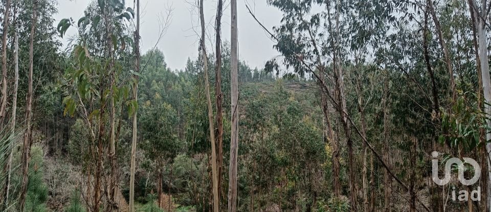 Terrain à Graça de 18 940 m²