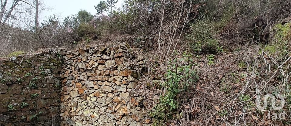 Terrain à Graça de 18 940 m²