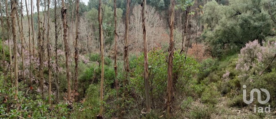 Terrain à Graça de 18 940 m²
