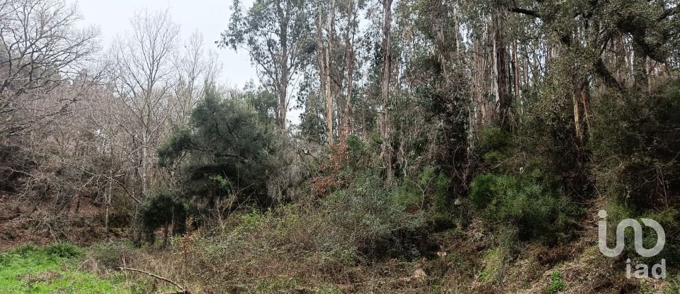 Terrain à Graça de 18 940 m²