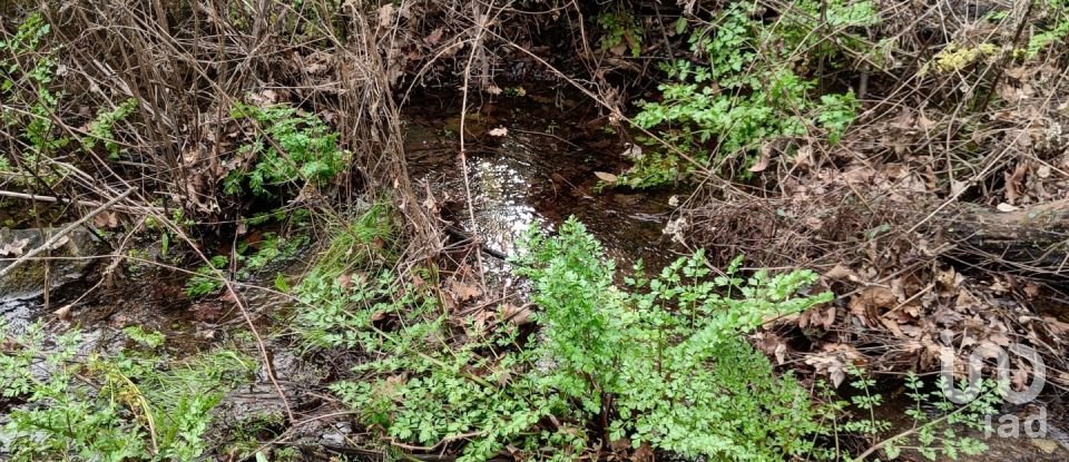 Terrain à Graça de 18 940 m²