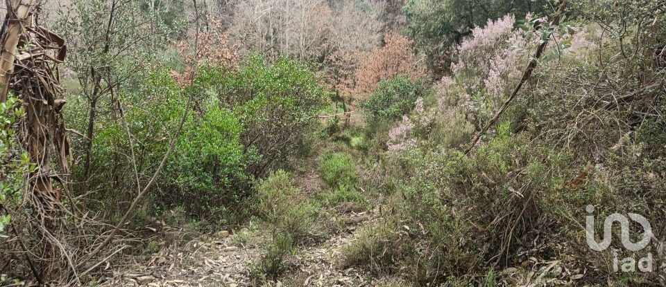 Terrain à Graça de 18 940 m²