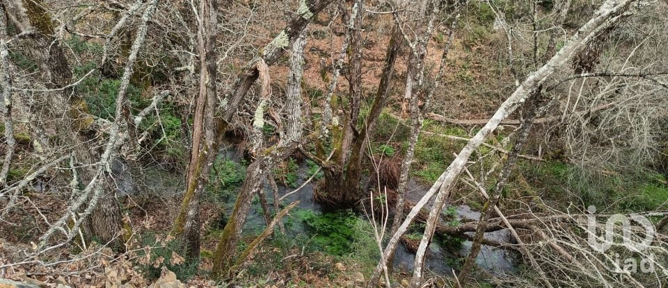 Terrain à Graça de 18 940 m²