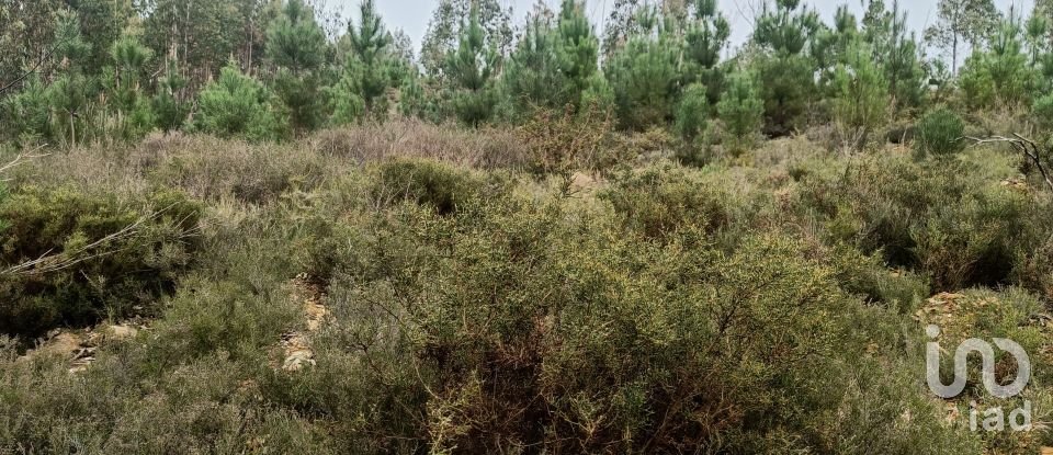 Terrain à Graça de 18 940 m²