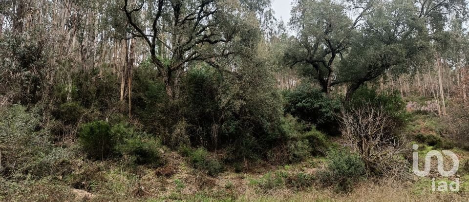 Terrain à Graça de 18 940 m²