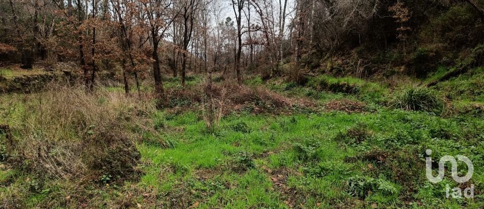 Terrain à Graça de 18 940 m²