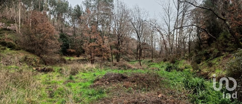 Terrain à Graça de 18 940 m²