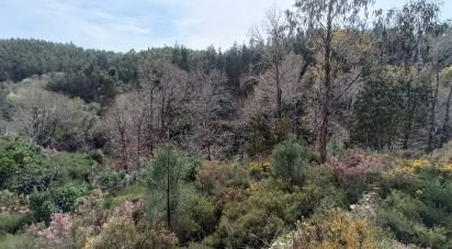 Land in Graça of 18,689 m²