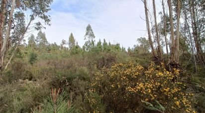 Land in Graça of 18,689 m²