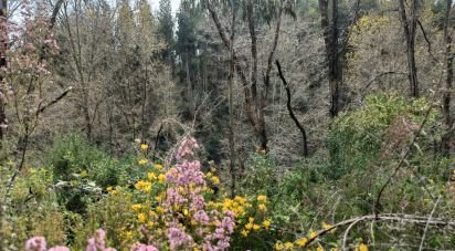 Land in Graça of 18,689 m²