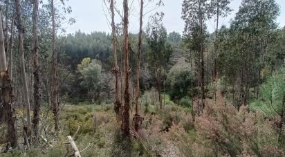 Land in Graça of 18,689 m²