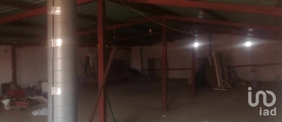 Traditional house T10 in Gáfete of 660 m²