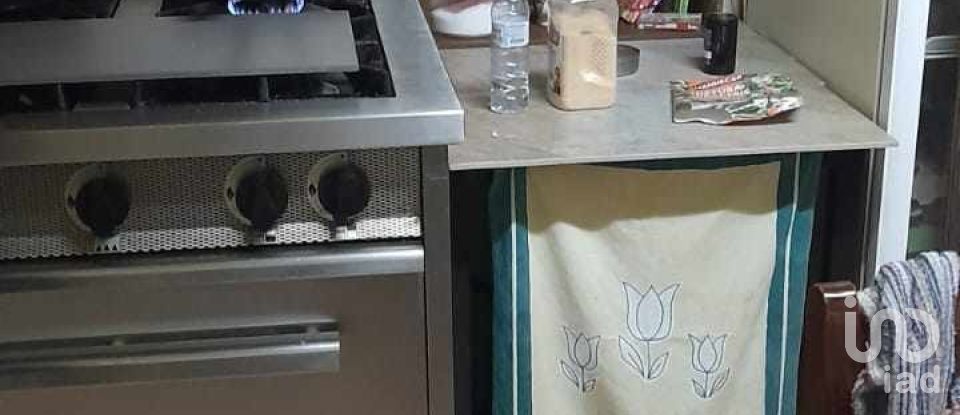 Traditional house T10 in Gáfete of 660 m²