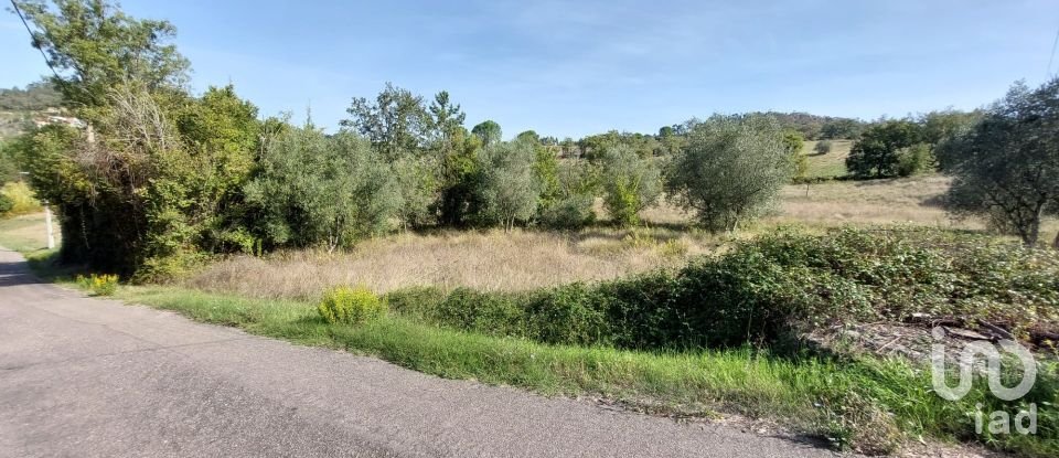 Farm land in Colmeias e Memória of 707 m²