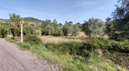 Terrain agricole à Colmeias e Memória de 707 m²