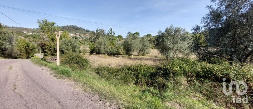 Farm land in Colmeias e Memória of 707 m²