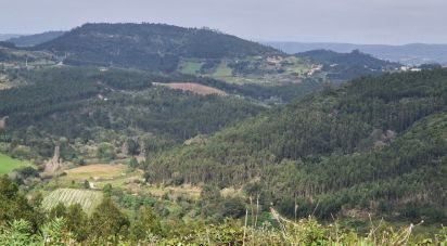 Terrain à Mafra de 8 875 m²