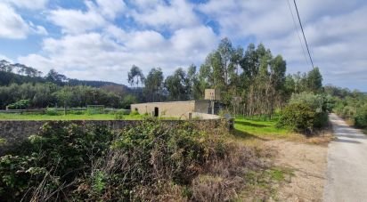 Terrain à Mafra de 8 875 m²