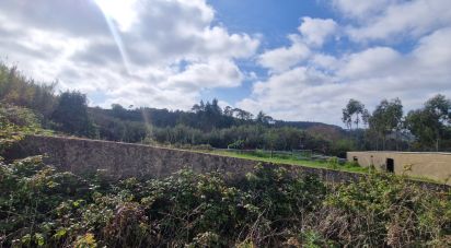 Terrain à Mafra de 8 875 m²