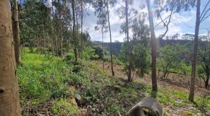 Terrain à Mafra de 8 875 m²