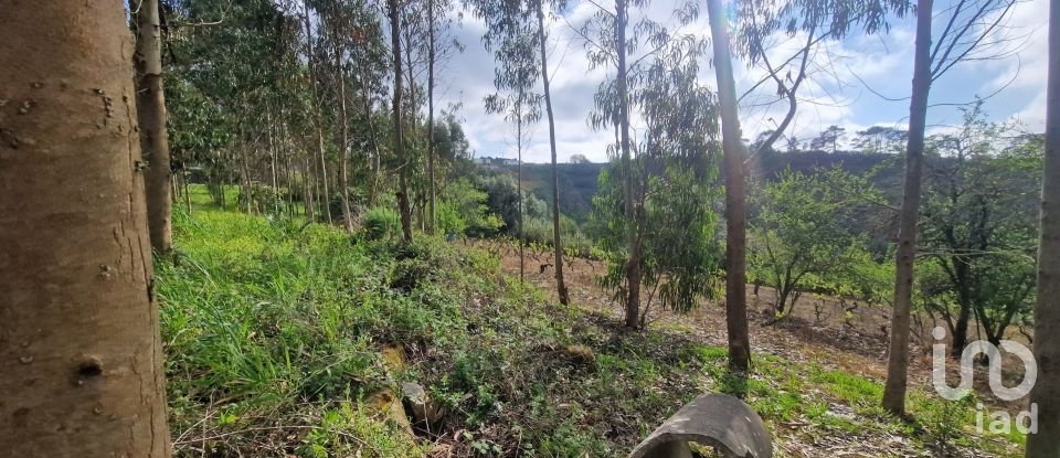 Terreno em Mafra de 8 875 m²