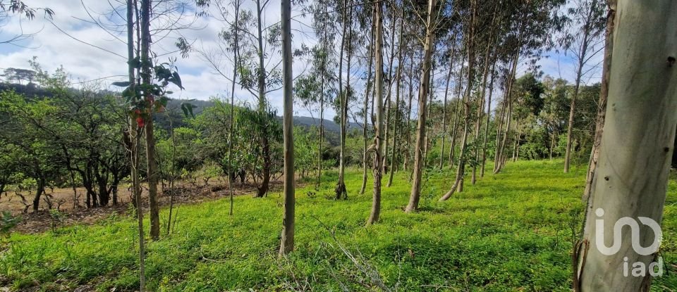 Terreno em Mafra de 8 875 m²
