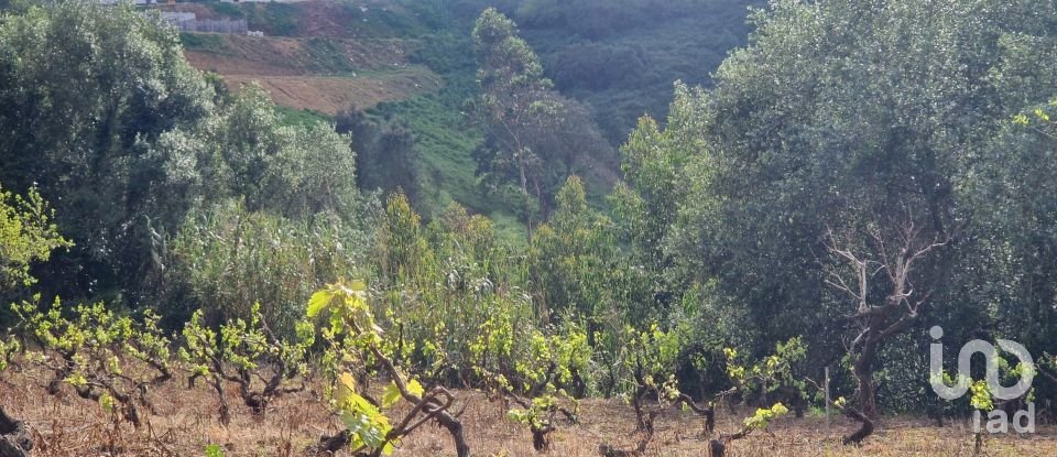 Terreno em Mafra de 8 875 m²