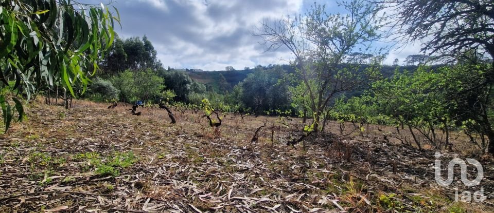 Terreno em Mafra de 8 875 m²