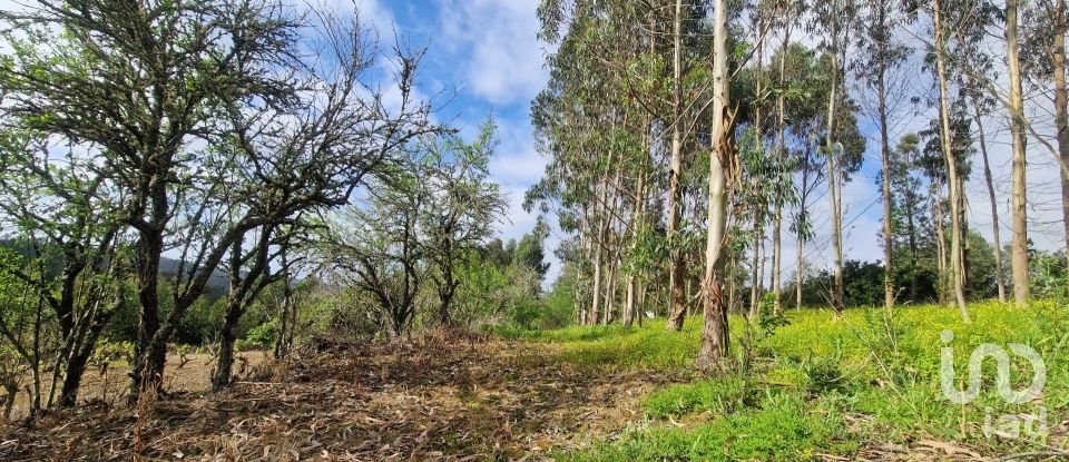 Terreno em Mafra de 8 875 m²