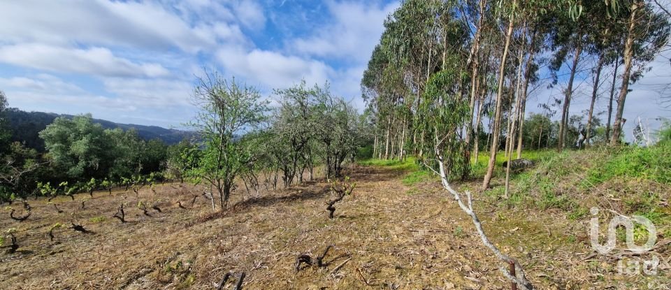 Terreno em Mafra de 8 875 m²
