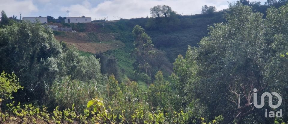 Terreno em Mafra de 8 875 m²