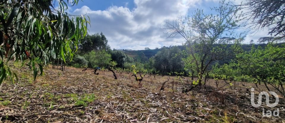 Terreno em Mafra de 8 875 m²