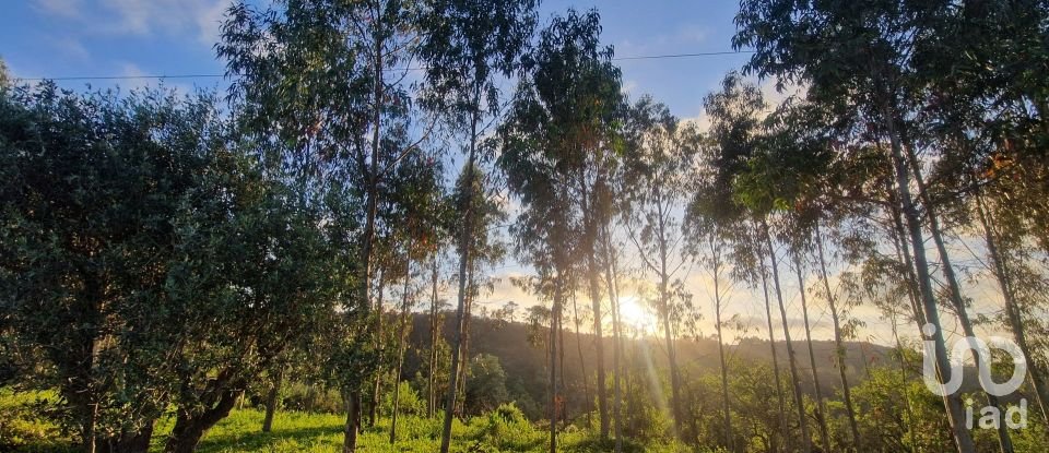 Terreno em Mafra de 8 875 m²