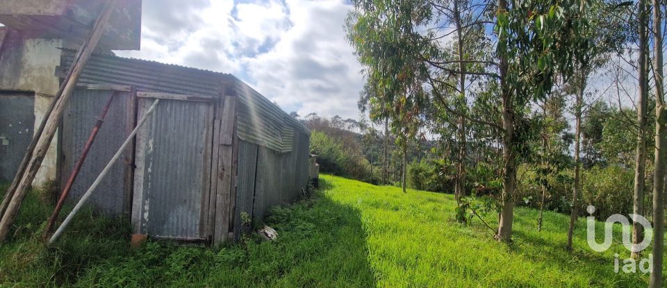 Terreno em Mafra de 8 875 m²