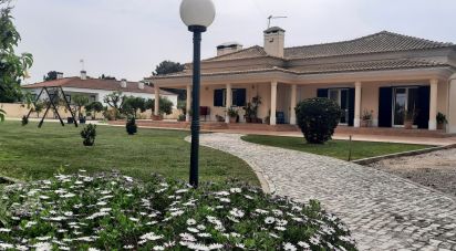 Casa / Villa T4 em Quinta do Anjo de 200 m²