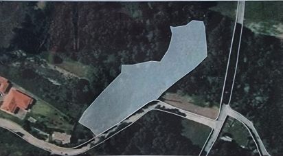 Land in Moledo e Cristelo of 4,950 m²