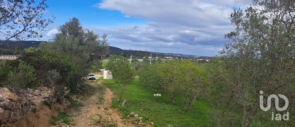 Land in Moncarapacho e Fuseta of 39,940 m²