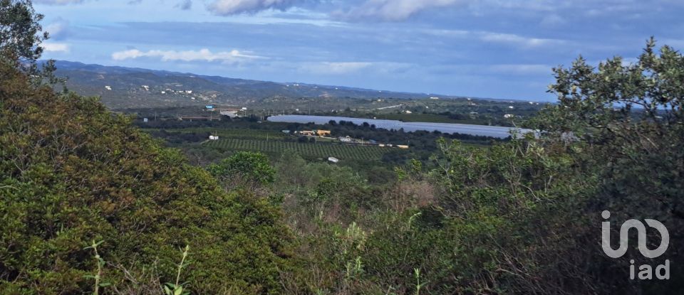 Terreno em Moncarapacho e Fuseta de 39 940 m²