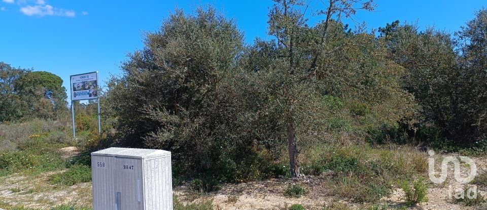 Terreno em Sesimbra (Castelo) de 5 000 m²