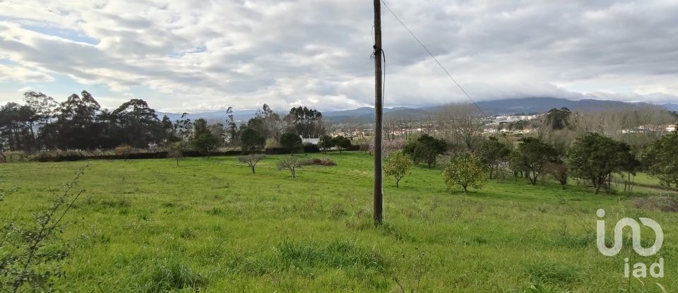 Quinta T6 em Gandra e Taião de 541 m²