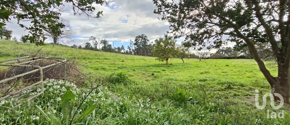 Quinta T6 em Gandra e Taião de 541 m²